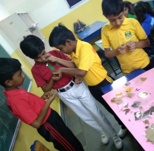 Science Spices Activity  - School Photo Gallery Bal Bhawan School
